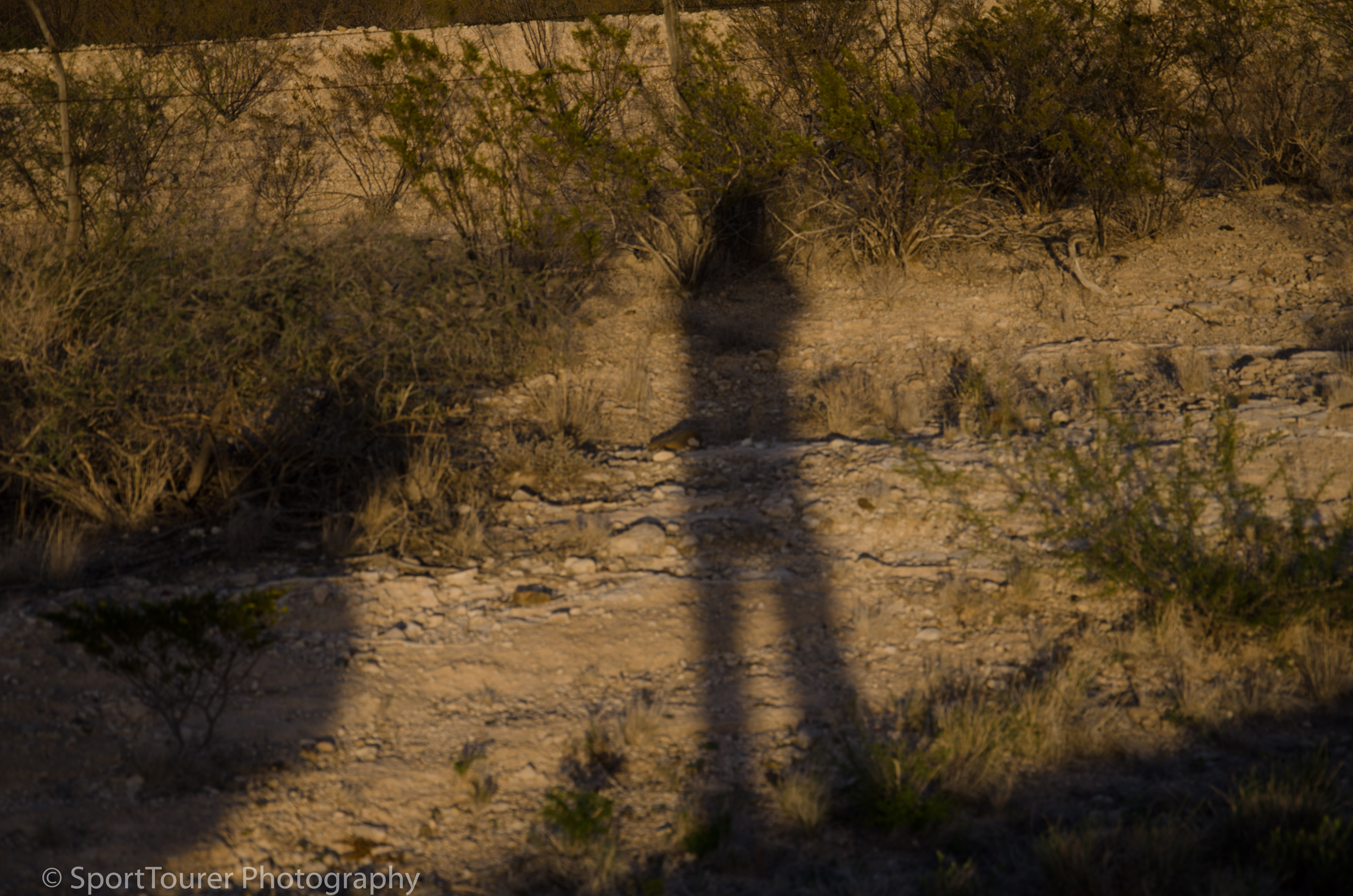  Sundown, preparing to exit the Big Bend National Park 