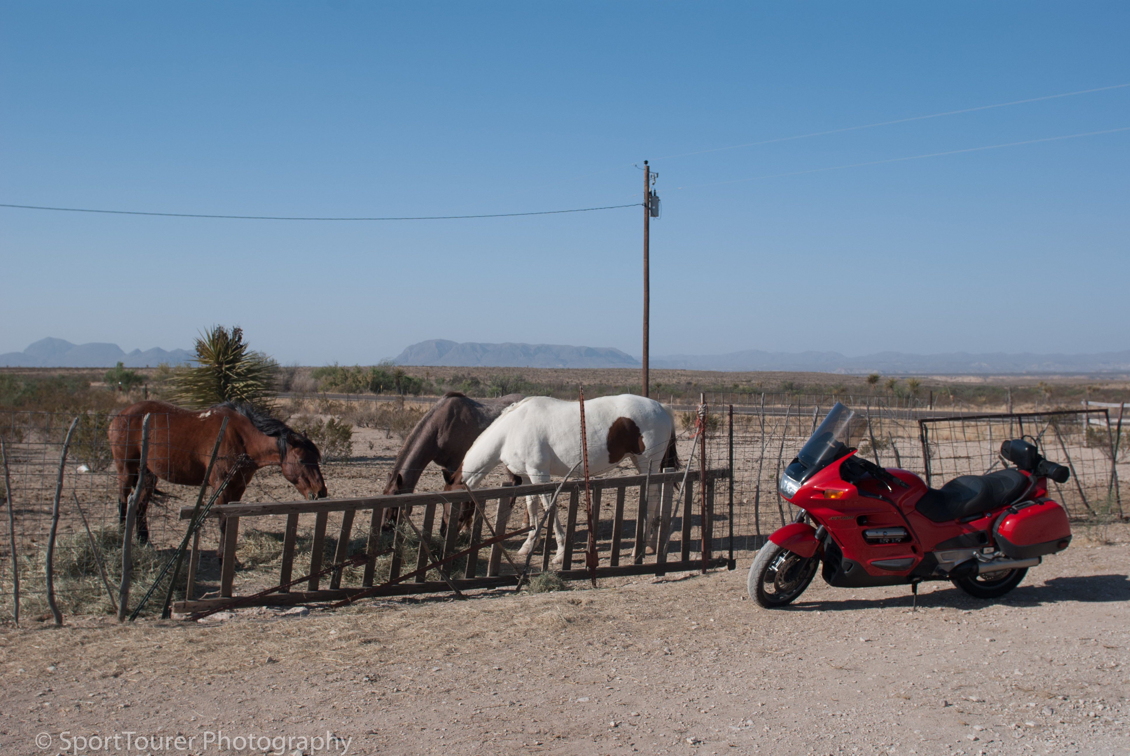  Natural horses and an iron horse 