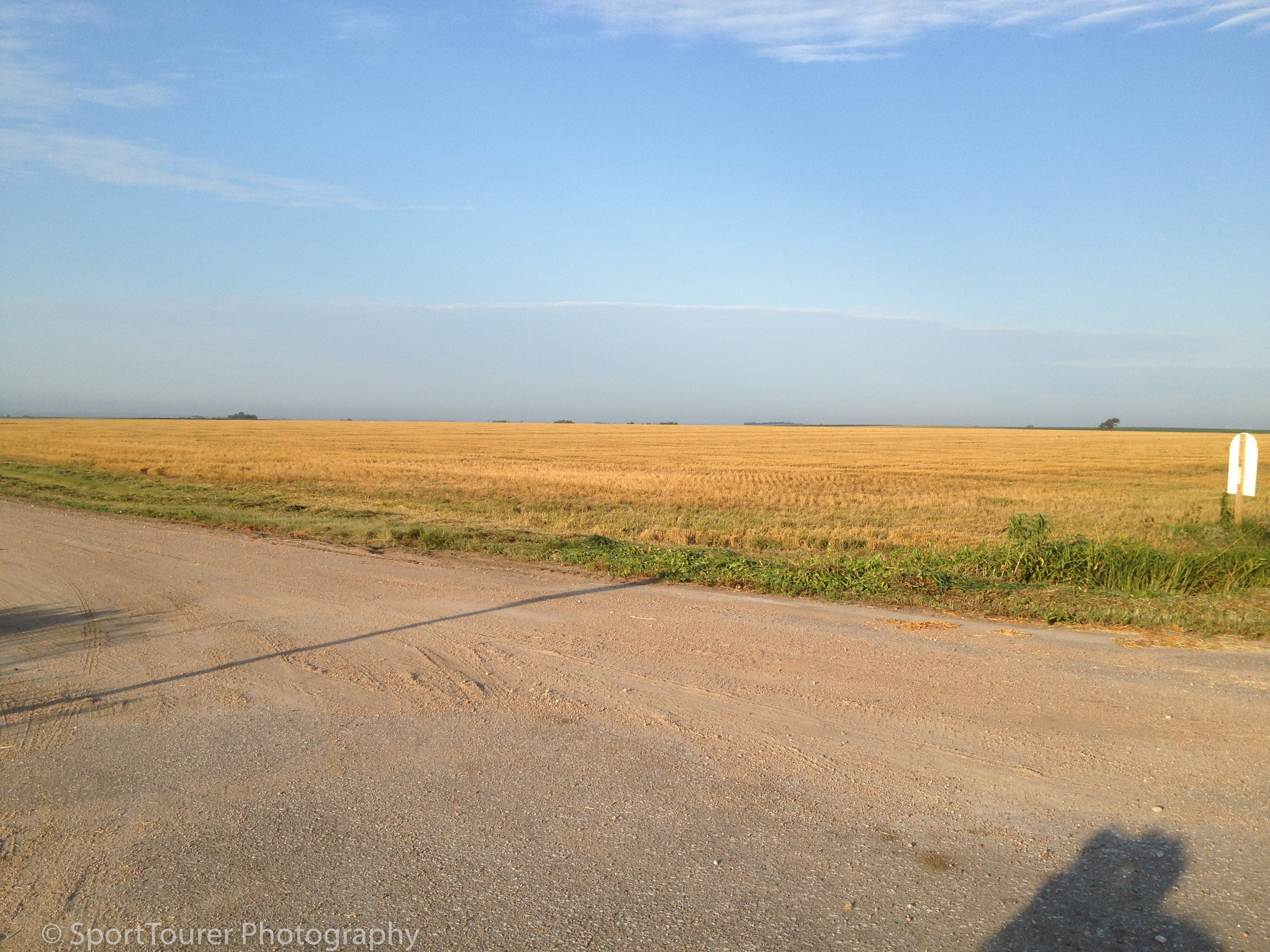  Fields of Gold. 