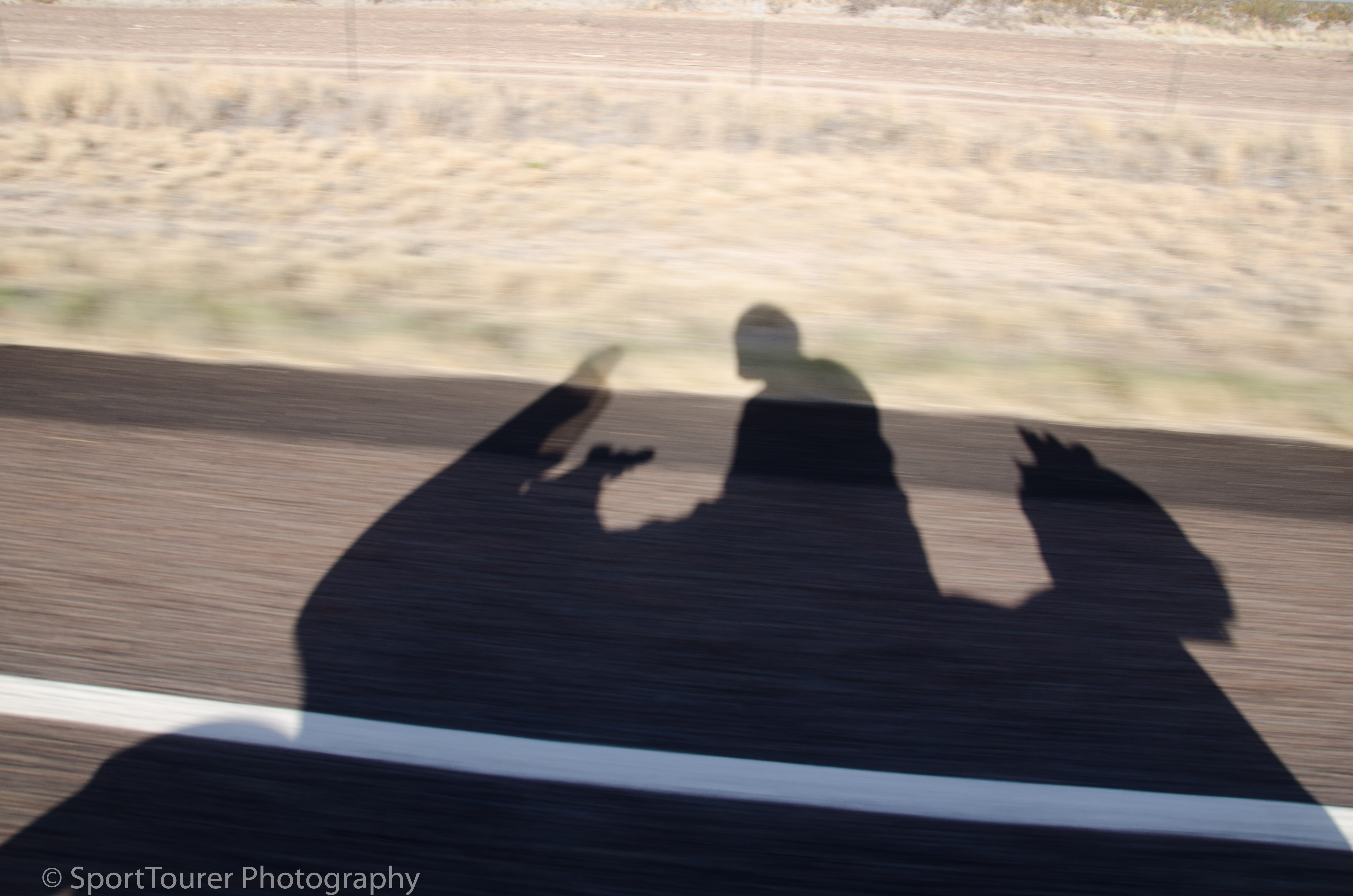  My ever-present companion - An aspiring long distance rider, just like me. 