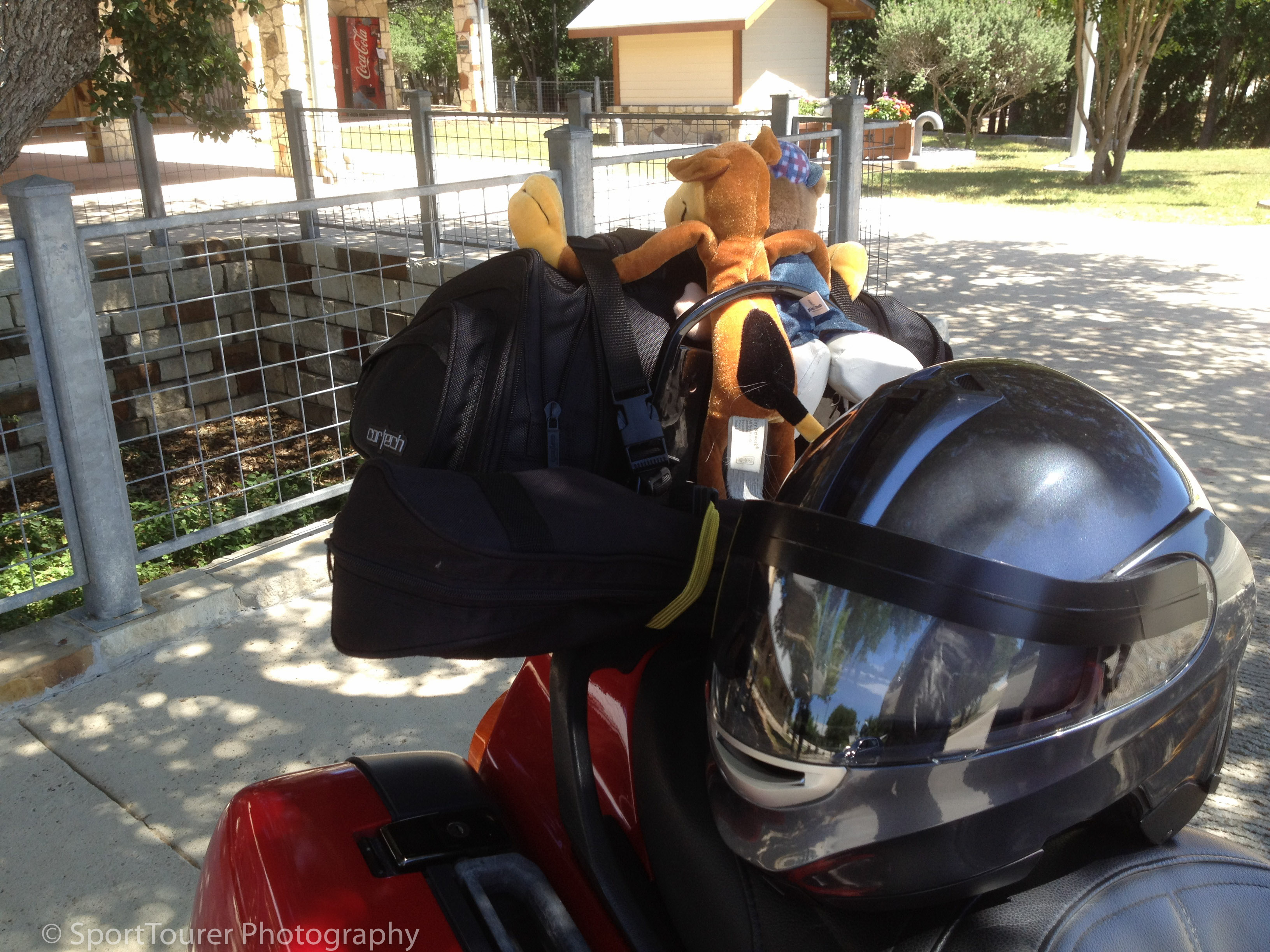  Taking a break from the heat of the day 