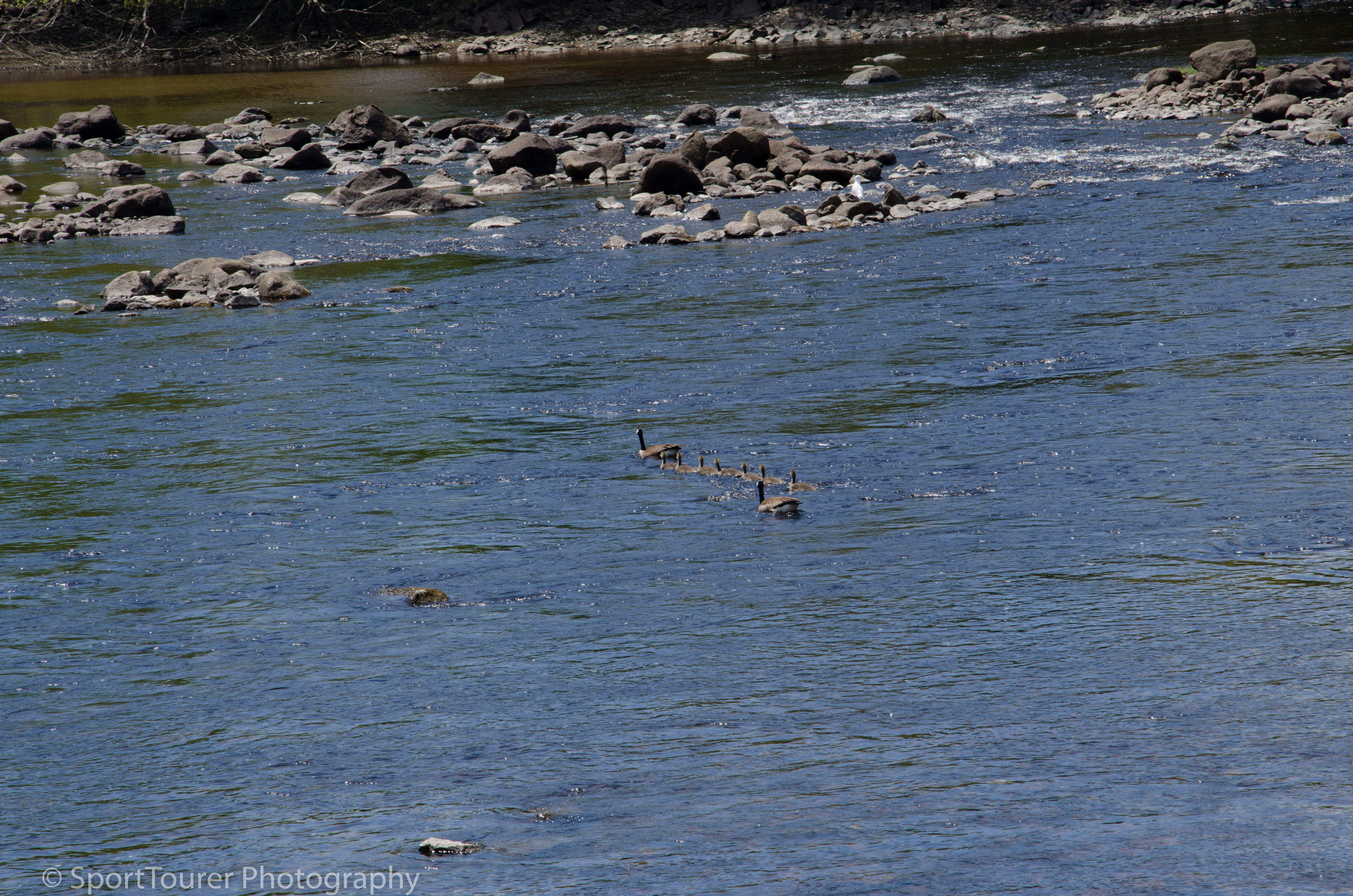  A lovely day to go swimming. 