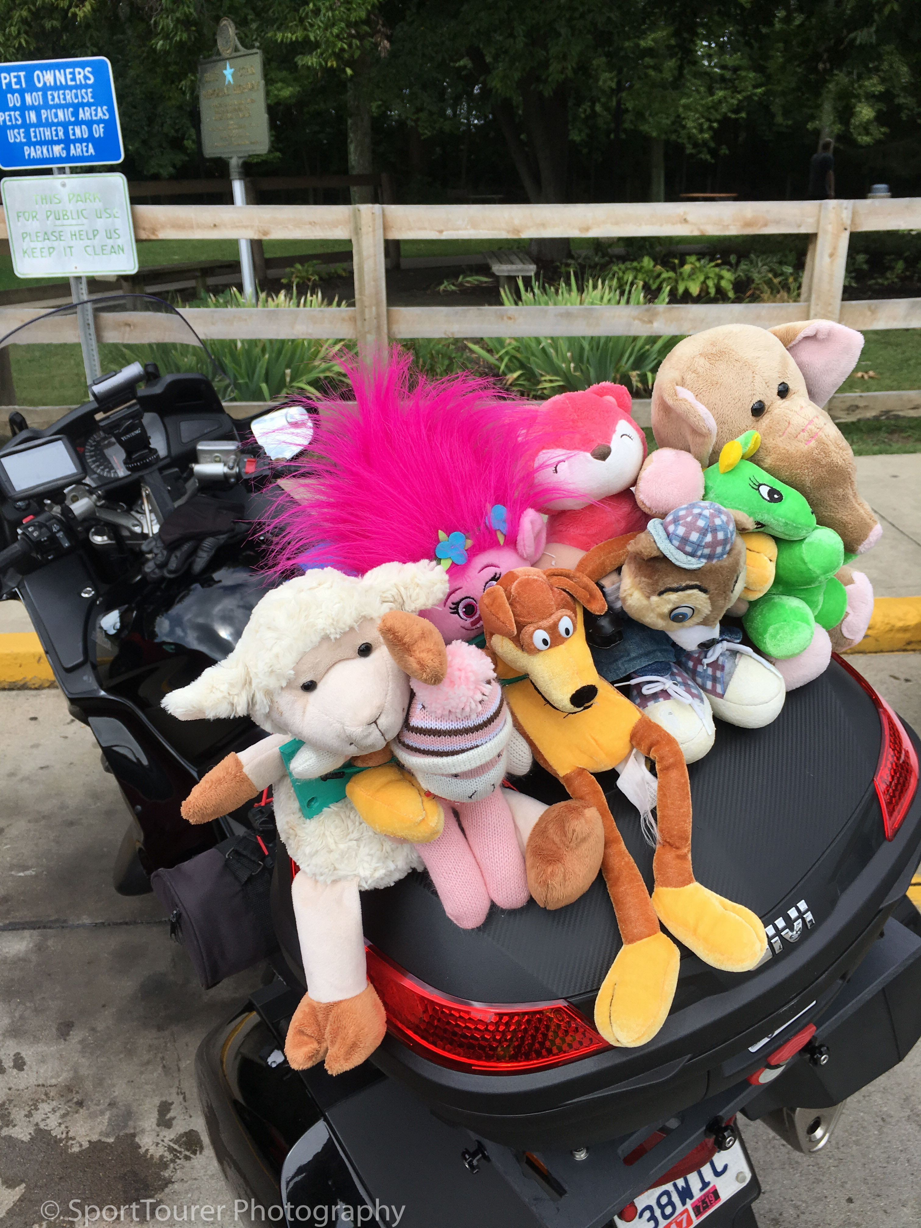  No need for excercise for this crew! 