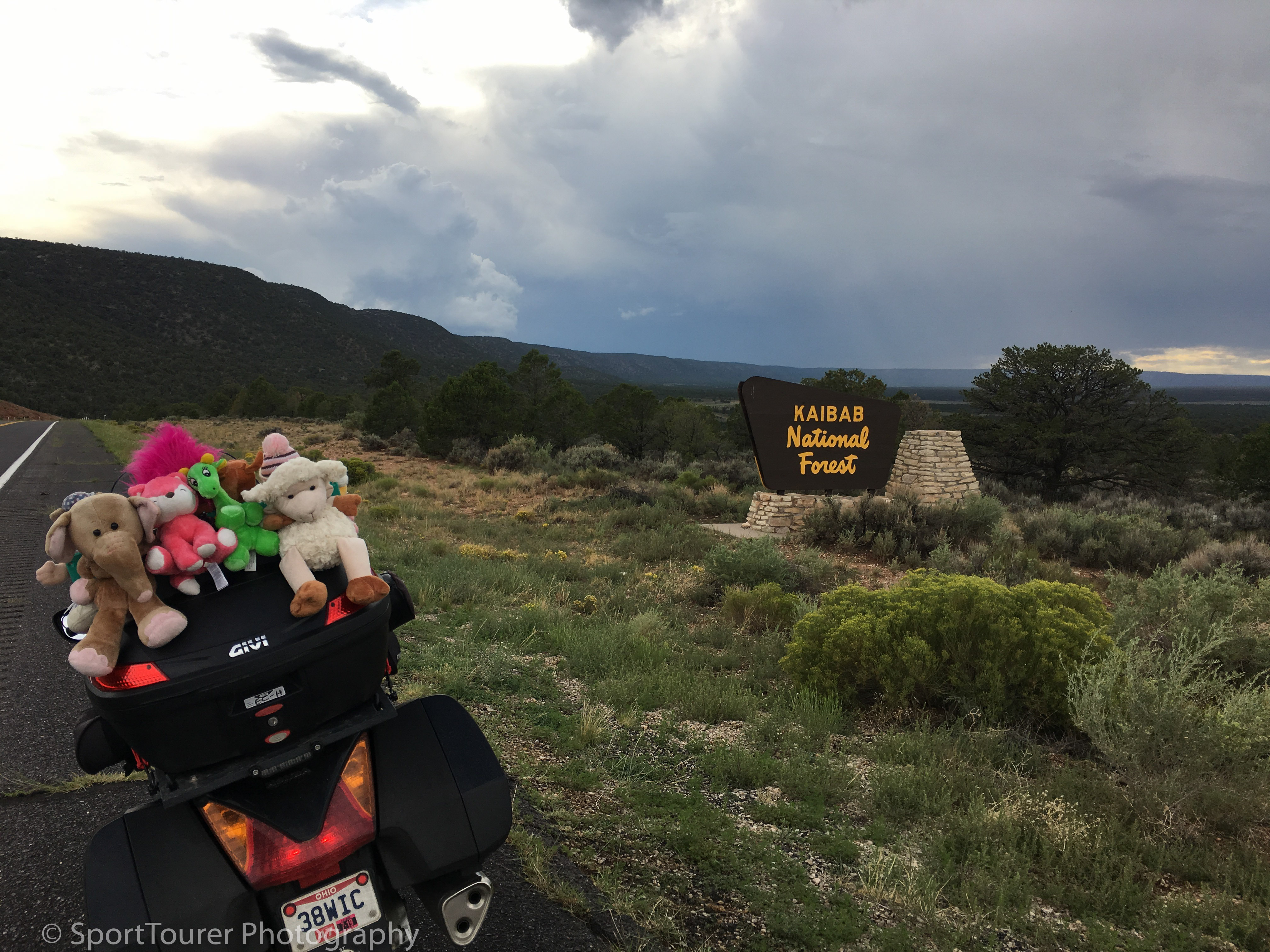  Entering the Kaibab National Forest as the evening approaches rapidly. 
